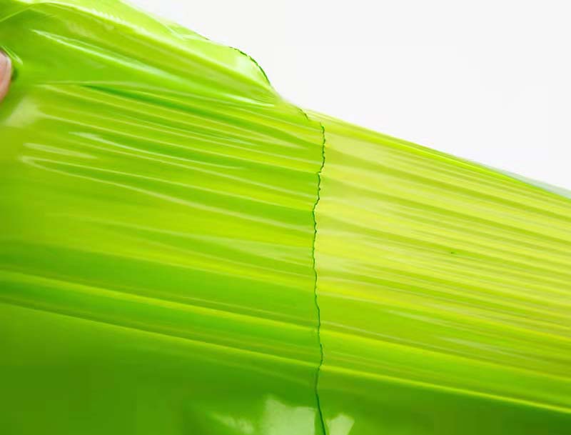 仪陇果绿色快递袋-06